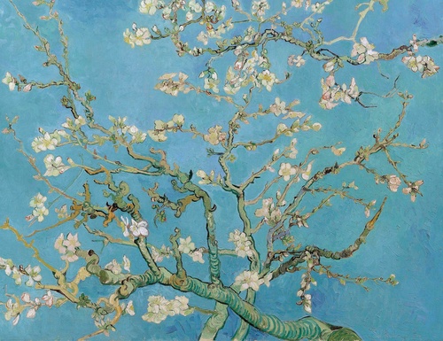 картины, живопись, живописные, ветки, синие, белые