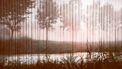 рельеф, природа, туман, берег, объем, лес, деревья, река