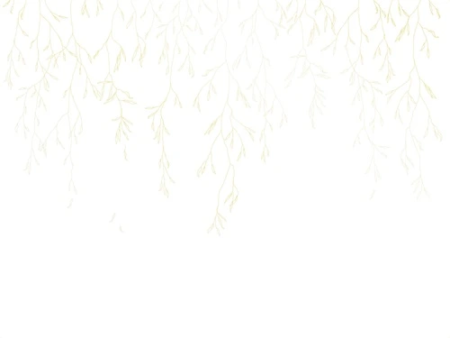 графика, бело золотые обои, линии, золотые линии, обои золотые листья, ветки, листья