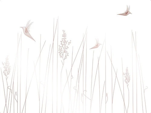 графика, линии, бежевые, трава, птицы