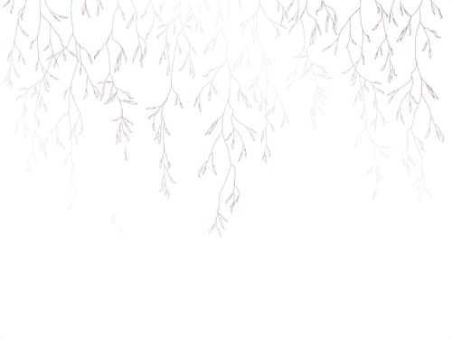 графика, линии, бежевые, ветки, листья