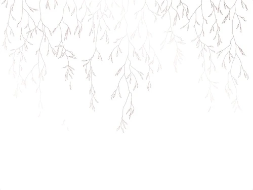 графика, линии, бежевые, ветки, листья