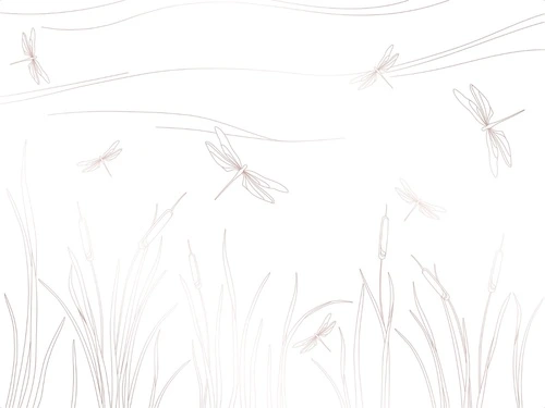 графика, бежевая, бежевые, линии, трава, стрекозы