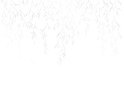 графика, серые, линии, ветки, листья