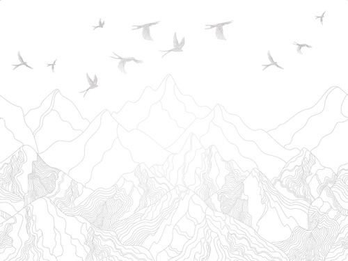 графика, серые, линии, горы, птицы