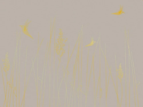 графика, линии, золотые линии, обои с золотыми линиями, трава, птицы, серо бежевые