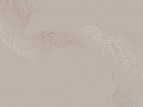 графика, линии, медные обои, медный цвет обои, вуаль, бежевые, серые