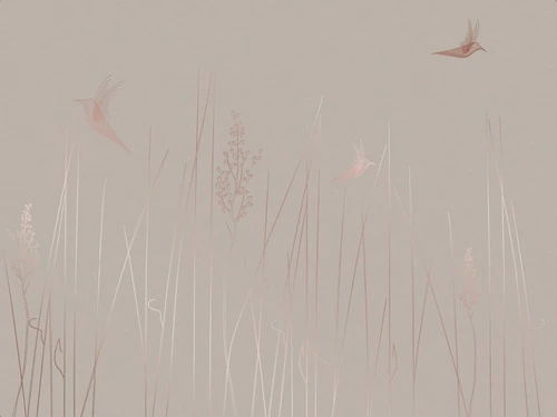 графика, линии, медные обои, медный цвет обоев, трава, птицы, бежевый, серый