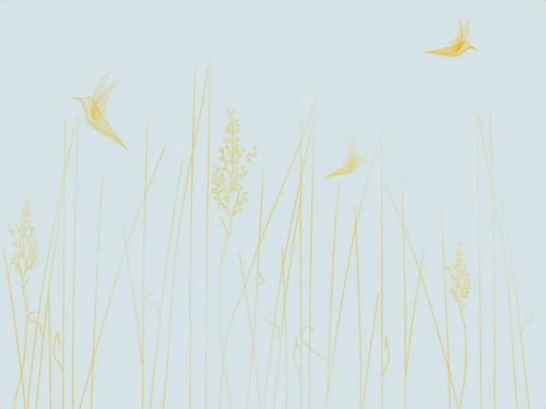графика, линии, золотые линии, обои с золотыми линиями, обои с золотом, с золотым рисунком, голубая, трава, птицы