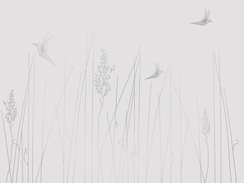 графика, линии, светлая, серая, с серебром, обои светлые с серебром, трава, птицы