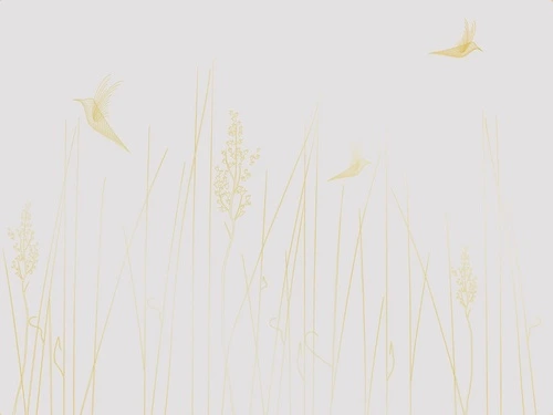 графика, линии, золоты линии, светлая, обои с золотыми линиями, с золотым рисунком, трава, птицы
