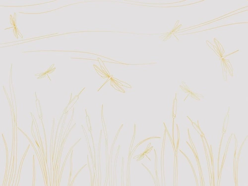 графика, линии, золотые линии, светлая, серая, обои с золотыми линиями, стрекозы, с золотым рисунком, трава, стрекоза