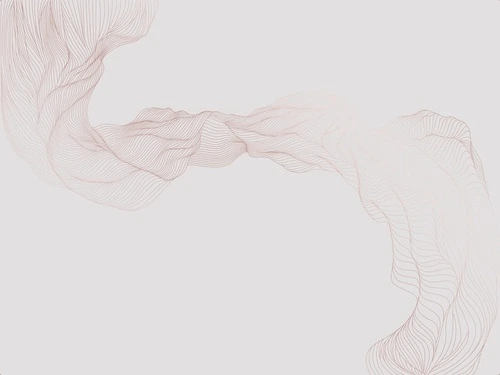 графика, медные обои, вуаль