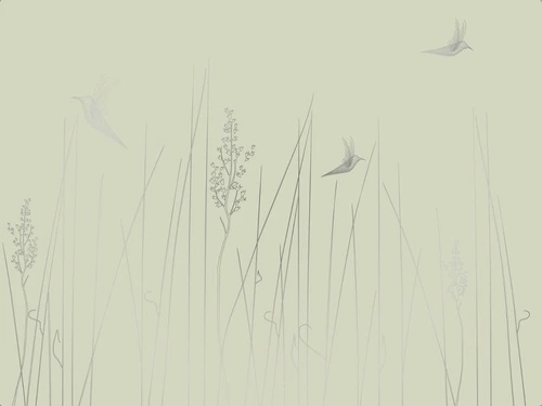 графика, линии, обои с серебром, обои с серебром для стен, обои светлые с серебром, зеленая, трава, птицы
