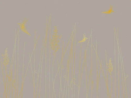 графика, золотые линии, бежевые, темные, трава, птицы