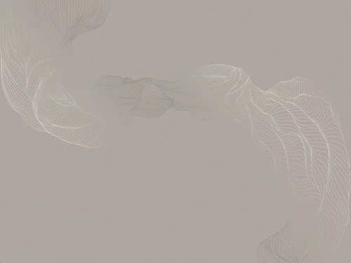 графика, линии, с серебром, обои с серебром, обои с серебром для стен, бежевые, коричневые, вуаль