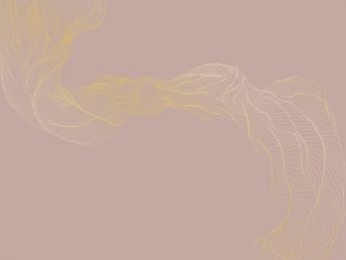 графика, золотые линии, обои с золотыми линиями, обои с золотым рисунком, розовая, вуаль