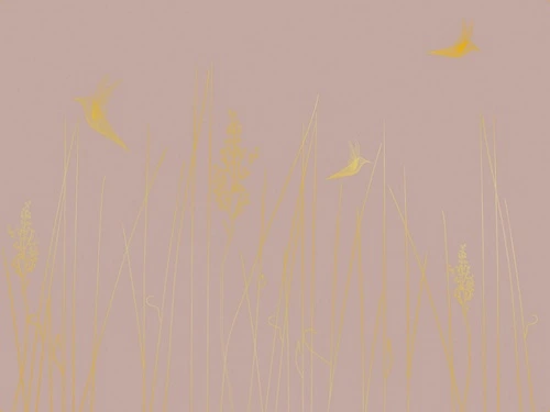 графика, золотые линии, розовая, трава, птицы