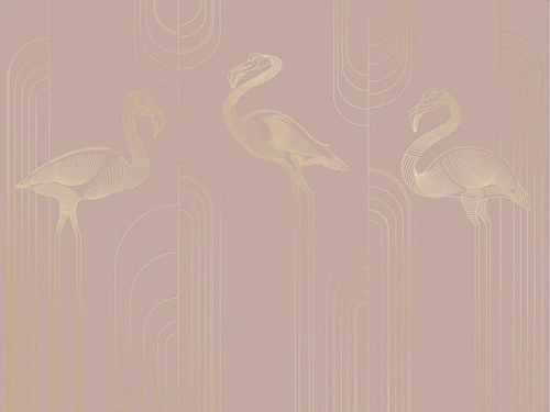 графика, розовая, фламинго, золотые линии