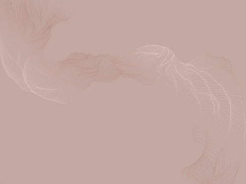 графика, медные, розовая, вуаль