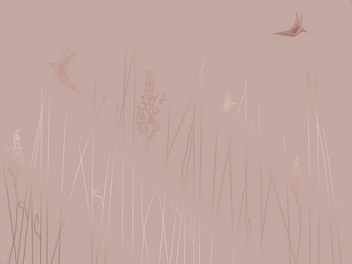 графика, медные, розовая, трава, птицы