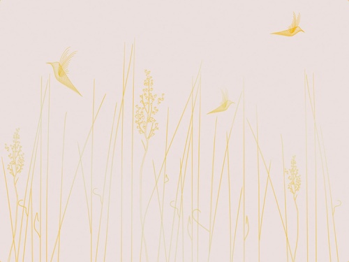 графика, розовая, светлая, золотые линии, трава, птицы