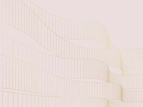 графика, розовая, светлая, золотые линии, ленты