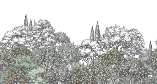 кипарисы, апельсины, лимоны, грейпфруты, цитрусовый сад, ботаническая иллюстрация, цветная гравюра, старинный стиль, деревья с плодами, флора, пейзаж, сад, классика, тонкая линия, для кухни, в столовую, природа, лес, ретро, ручная графика, пастельные оттенки, растительность