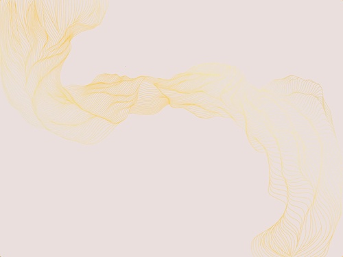 графика, розовая, светлая, золотые линии, вуаль