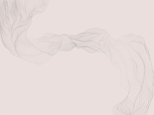 графика, розовая, светлая, обои с серебром, вуаль