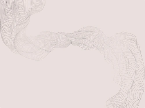 графика, розовая, светлая, обои с серебром, вуаль