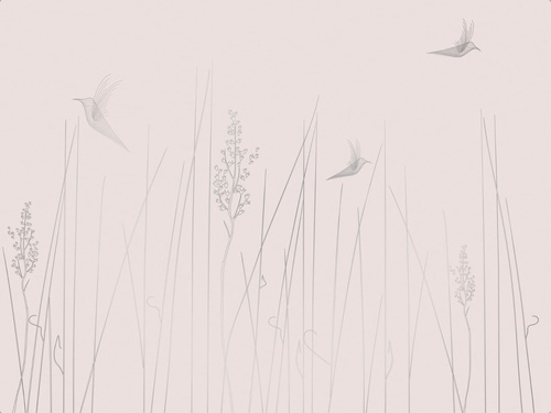 графика, розовая, светлая, обои с серебром для стен, трава, птицы