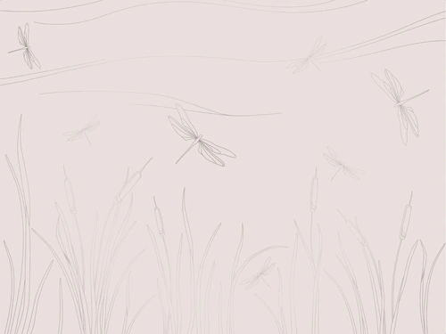 графика, розовая, светлая, с серебром, трава, стрекоза