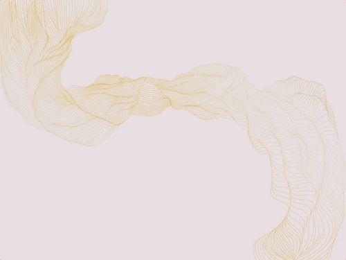 графика, розовая, светлая, белая, золотые линии, вуаль