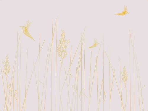 графика, розовая, светлая, белая, золотые линии, трава, птицы
