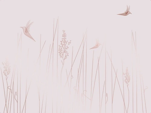 графика, светлая, белая, розовая, линии, медные, трава, птицы