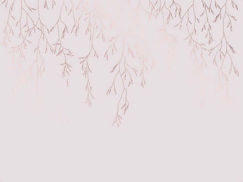 графика, светлая, белая, медные, линии, ветки, листья