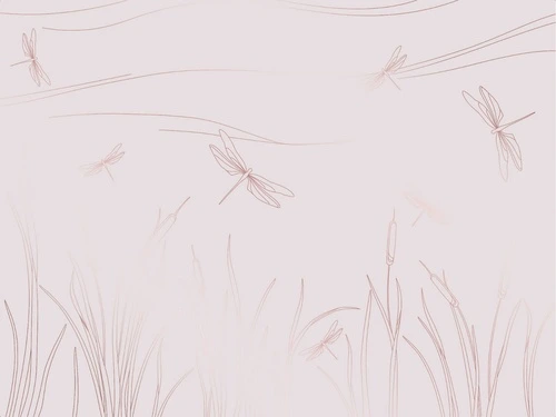 графика, светлая, белая, розовая, медные, линии, трава, стрекозы