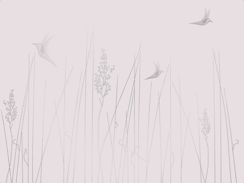 графика, светлая, белая, розовая, с серебром, серебряные линии, трава, птицы