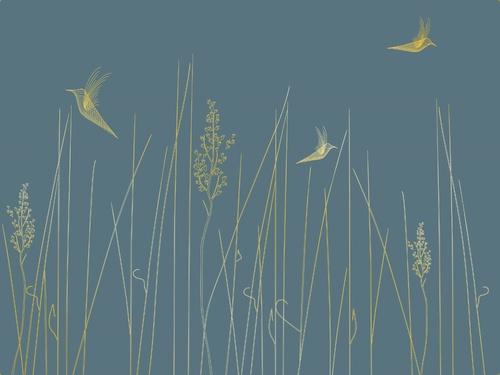 графика, золотые линии, трава, птицы, бирюзовые, темные