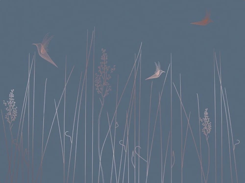 графика, медные, линии, трава, птицы, синяя, темная