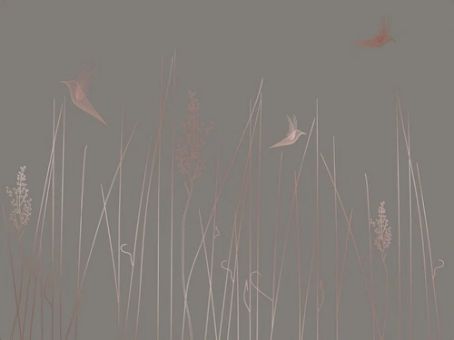 графика, медные, трава, птицы, коричневая, темная