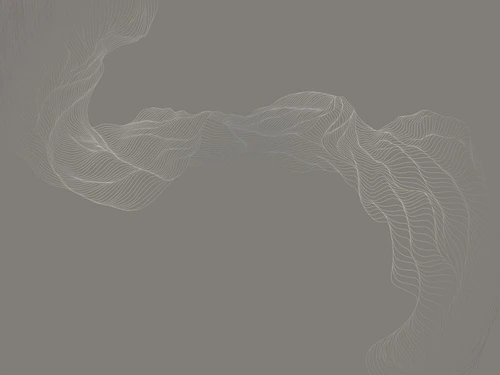 графика, с серебром, серебряные линии, вуаль, в гостиницу, в спальню, коричневая, темная