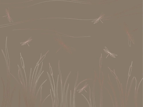 графика, линии, медные, камыш, стрекозы, трава, темно коричневая, темная