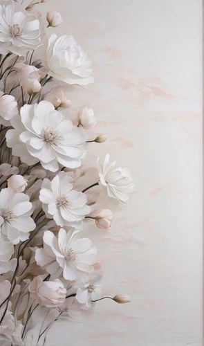 цветы, белые цветы, бежевые, вертикальные