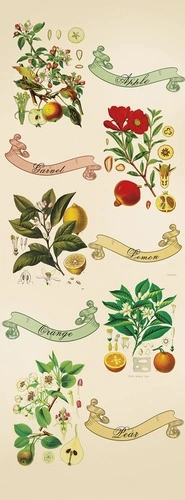 шинуазри, ботаническая иллюстрация, фрукты, яблоко, гранат, лимон, апельсин, груша, цветы, винтажный стиль, бежевый фон, акварель, декоративные, для кухни, для столовой, ретро, садовые растения