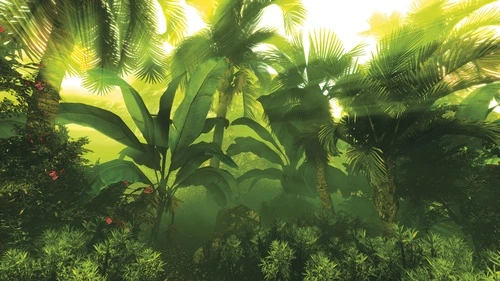 тропический лес, джунгли, пальмы, банановые листья, зелень, солнечные лучи, экзотические растения, природа, лето, для гостиной, для спальни, расширяющие пространство, пейзаж, для офиса