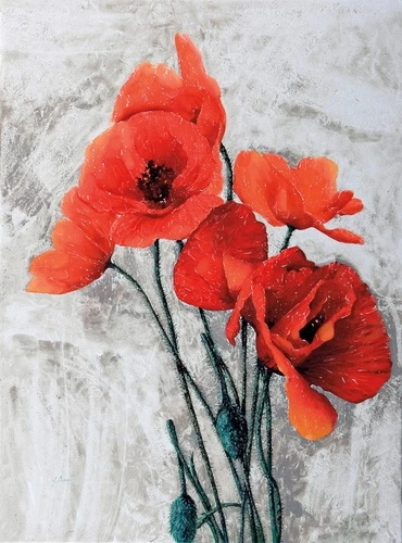 цветы, маки, красная, серая, на штукатурке, квадратная