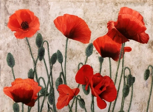 цветы, маки, красная, бежевая, на штукатурке, алые, на бежевом фоне