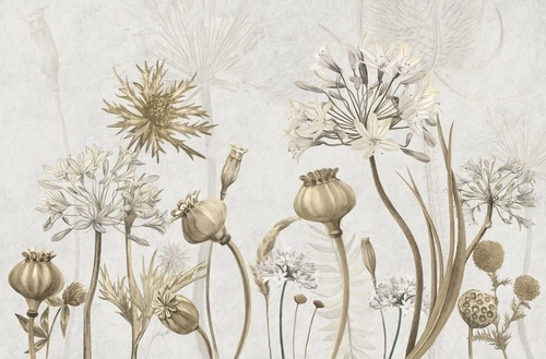 цветы, полевые, чертополох